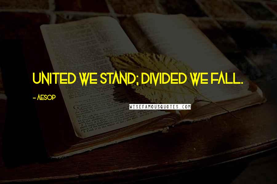 Aesop Quotes: United we stand; divided we fall.