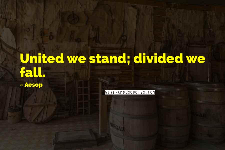 Aesop Quotes: United we stand; divided we fall.