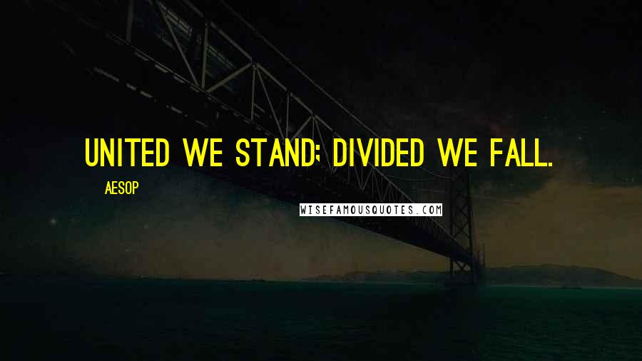 Aesop Quotes: United we stand; divided we fall.