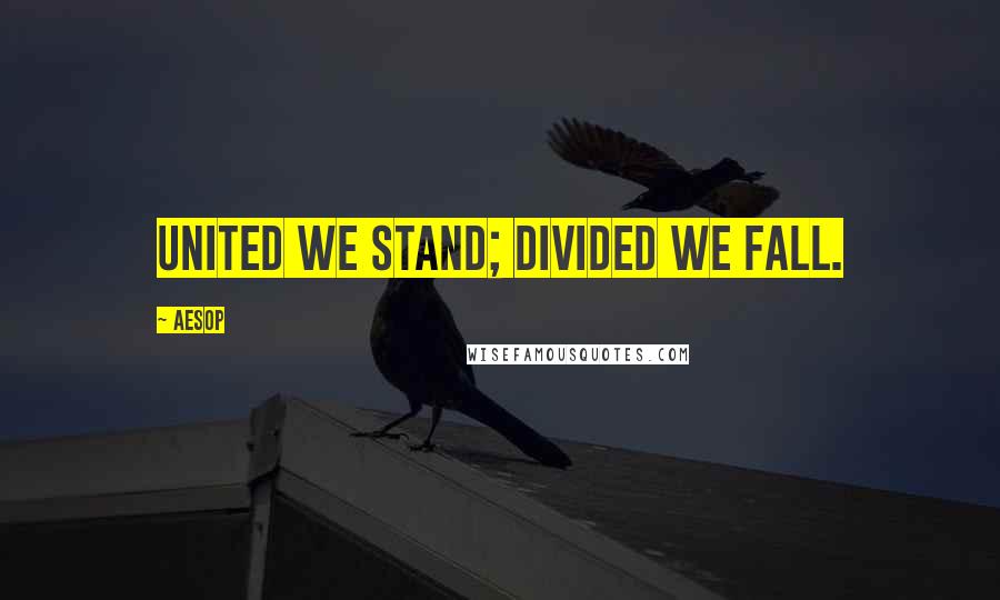 Aesop Quotes: United we stand; divided we fall.