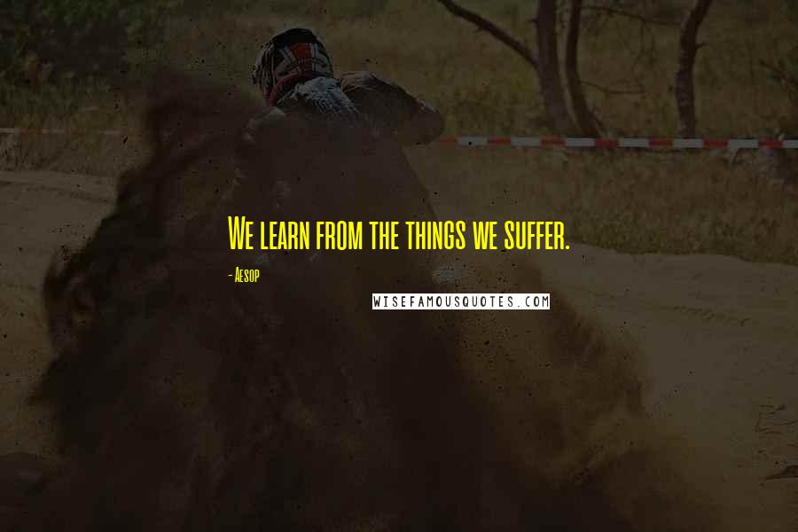 Aesop Quotes: We learn from the things we suffer.