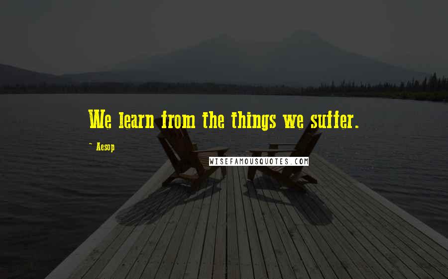 Aesop Quotes: We learn from the things we suffer.