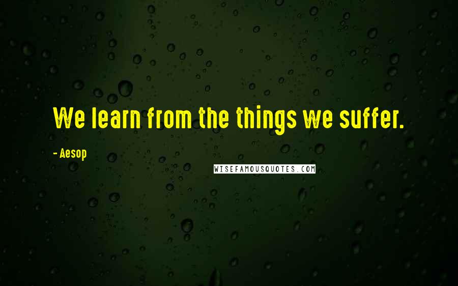 Aesop Quotes: We learn from the things we suffer.