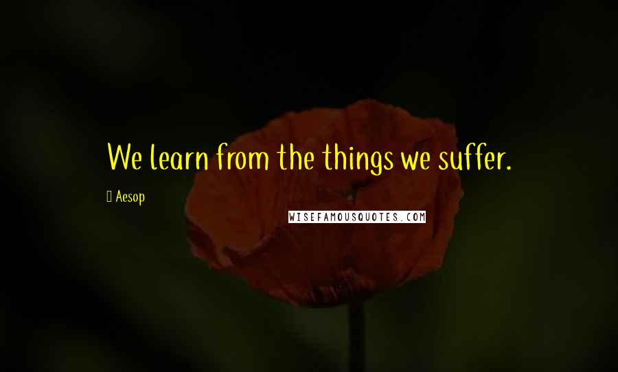 Aesop Quotes: We learn from the things we suffer.