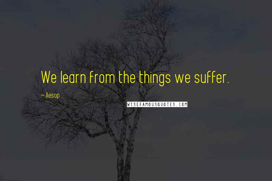 Aesop Quotes: We learn from the things we suffer.