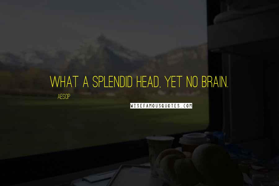 Aesop Quotes: What a splendid head, yet no brain.