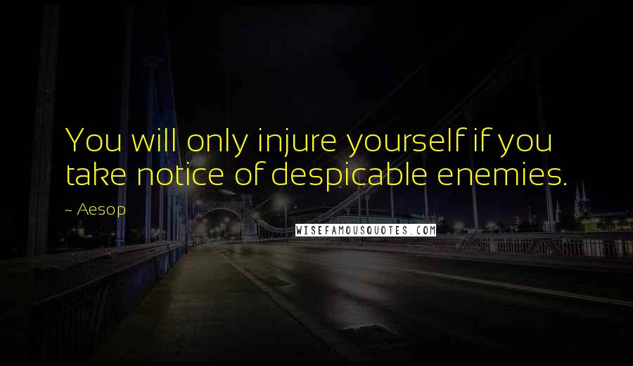 Aesop Quotes: You will only injure yourself if you take notice of despicable enemies.