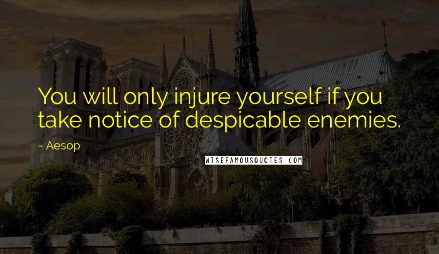 Aesop Quotes: You will only injure yourself if you take notice of despicable enemies.