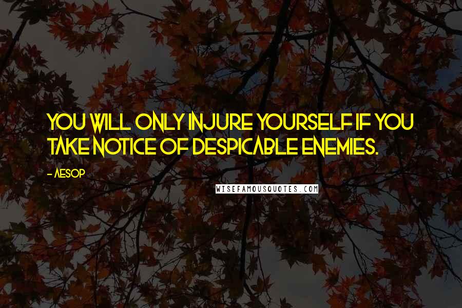 Aesop Quotes: You will only injure yourself if you take notice of despicable enemies.