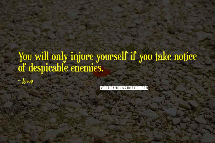 Aesop Quotes: You will only injure yourself if you take notice of despicable enemies.