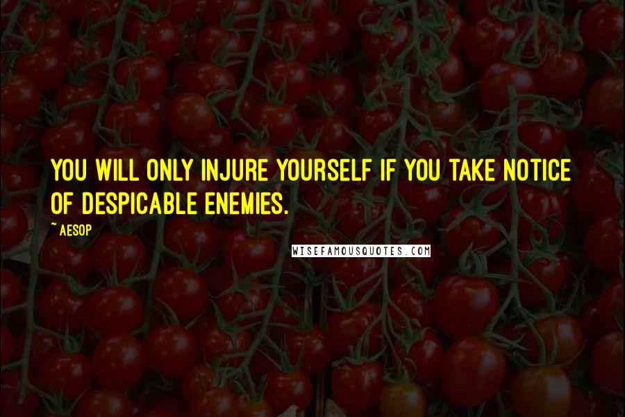 Aesop Quotes: You will only injure yourself if you take notice of despicable enemies.