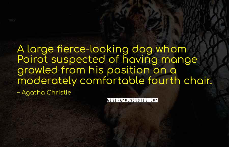 Agatha Christie Quotes: A large fierce-looking dog whom Poirot suspected of having mange growled from his position on a moderately comfortable fourth chair.