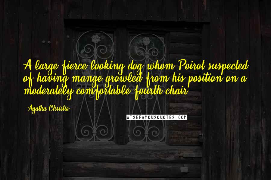 Agatha Christie Quotes: A large fierce-looking dog whom Poirot suspected of having mange growled from his position on a moderately comfortable fourth chair.