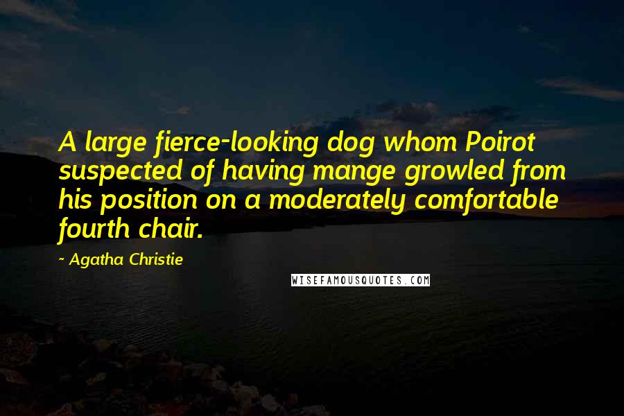 Agatha Christie Quotes: A large fierce-looking dog whom Poirot suspected of having mange growled from his position on a moderately comfortable fourth chair.