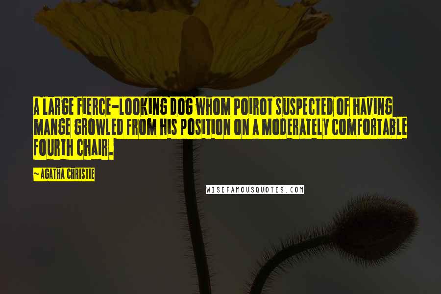 Agatha Christie Quotes: A large fierce-looking dog whom Poirot suspected of having mange growled from his position on a moderately comfortable fourth chair.