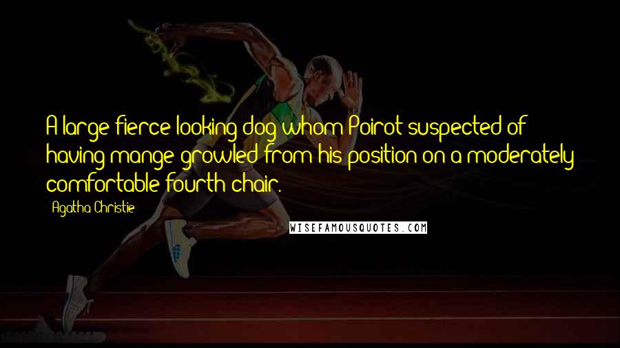 Agatha Christie Quotes: A large fierce-looking dog whom Poirot suspected of having mange growled from his position on a moderately comfortable fourth chair.