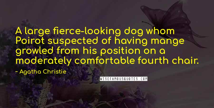 Agatha Christie Quotes: A large fierce-looking dog whom Poirot suspected of having mange growled from his position on a moderately comfortable fourth chair.