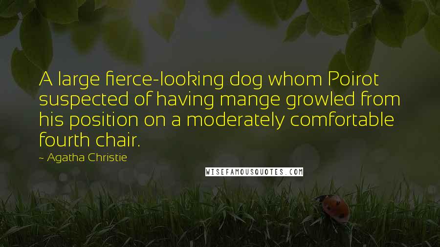 Agatha Christie Quotes: A large fierce-looking dog whom Poirot suspected of having mange growled from his position on a moderately comfortable fourth chair.