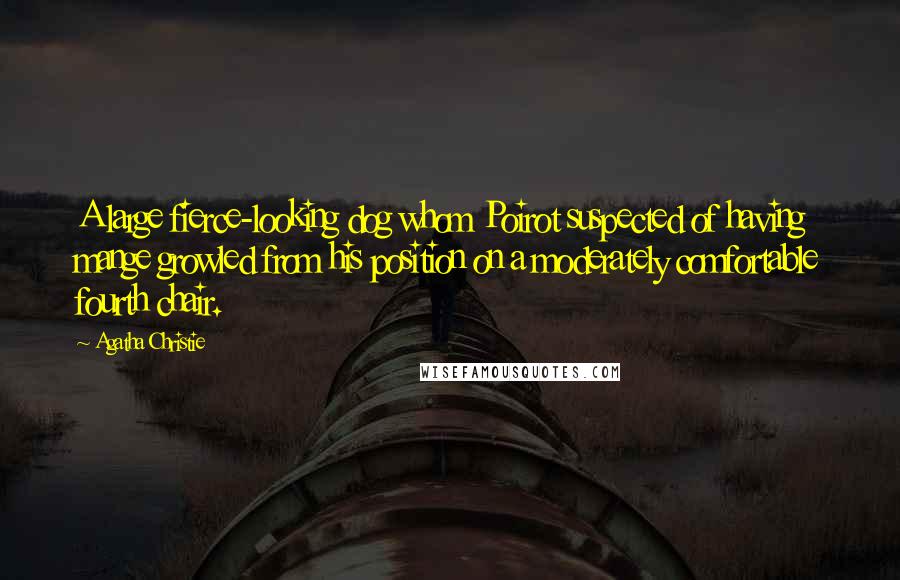Agatha Christie Quotes: A large fierce-looking dog whom Poirot suspected of having mange growled from his position on a moderately comfortable fourth chair.
