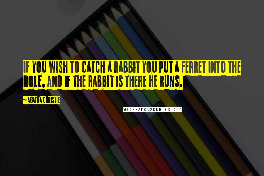 Agatha Christie Quotes: If you wish to catch a rabbit you put a ferret into the hole, and if the rabbit is there he runs.