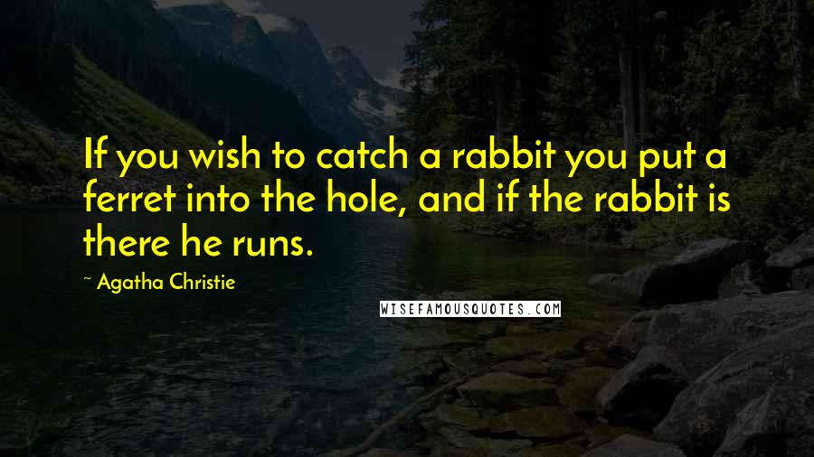 Agatha Christie Quotes: If you wish to catch a rabbit you put a ferret into the hole, and if the rabbit is there he runs.