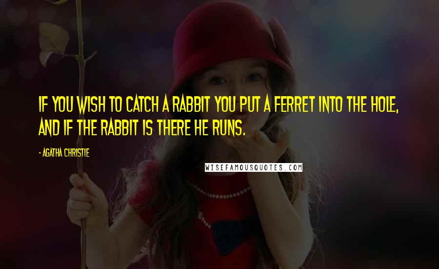 Agatha Christie Quotes: If you wish to catch a rabbit you put a ferret into the hole, and if the rabbit is there he runs.