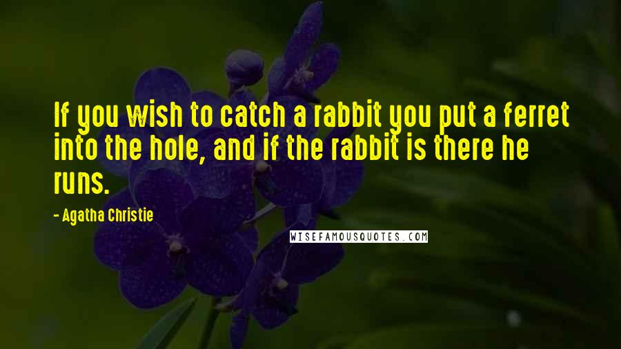 Agatha Christie Quotes: If you wish to catch a rabbit you put a ferret into the hole, and if the rabbit is there he runs.