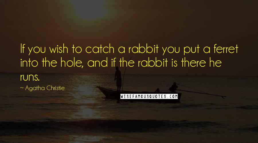 Agatha Christie Quotes: If you wish to catch a rabbit you put a ferret into the hole, and if the rabbit is there he runs.