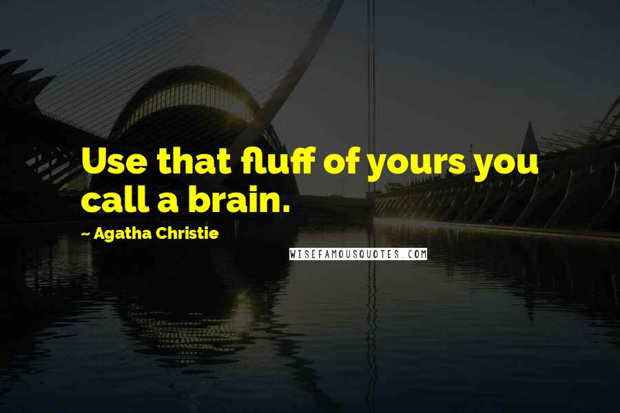 Agatha Christie Quotes: Use that fluff of yours you call a brain.