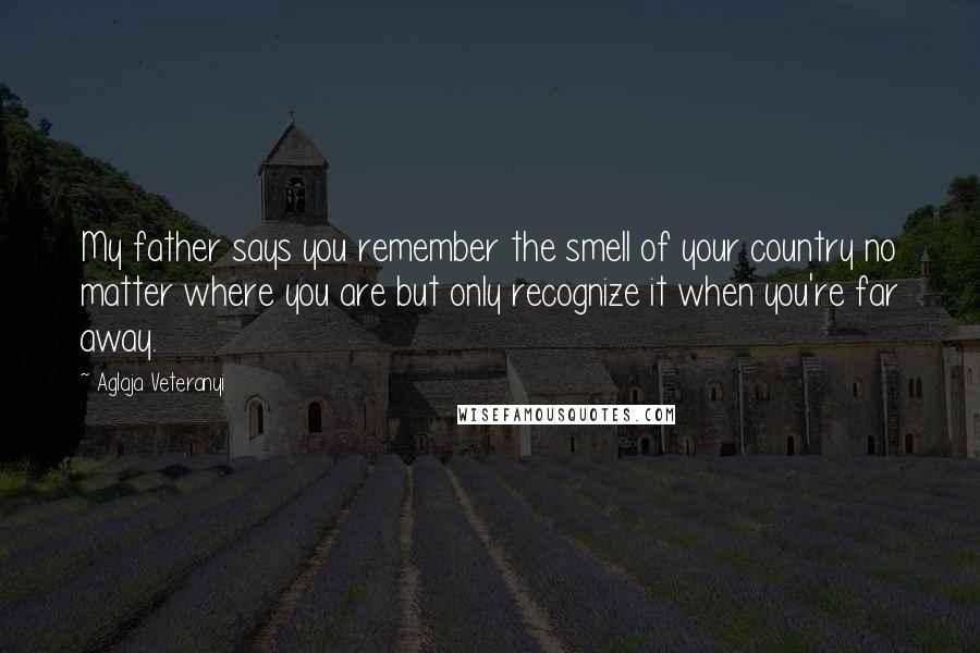 Aglaja Veteranyi Quotes: My father says you remember the smell of your country no matter where you are but only recognize it when you're far away.