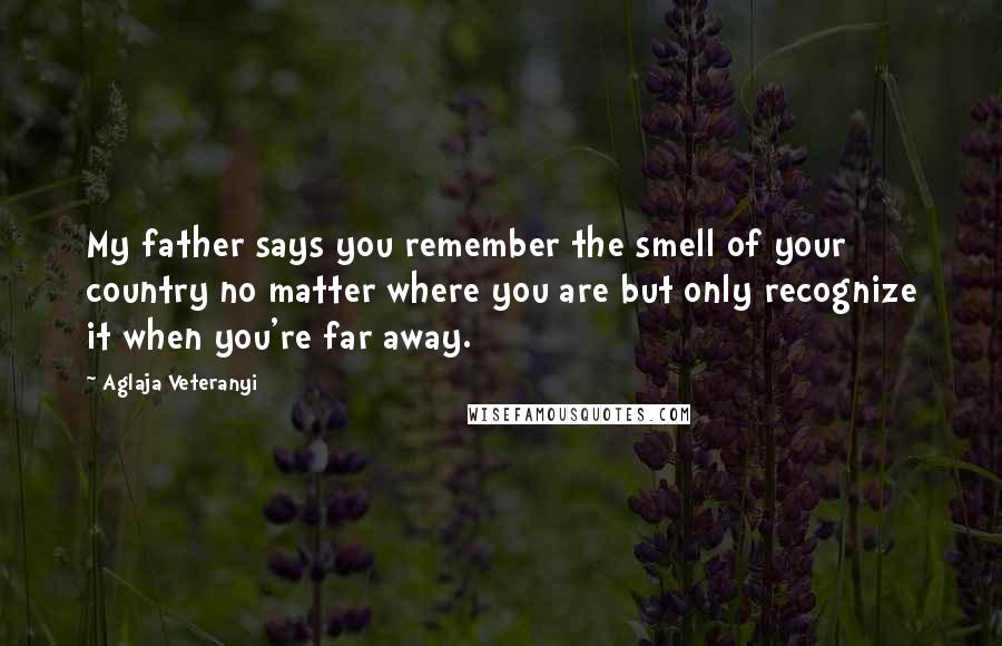 Aglaja Veteranyi Quotes: My father says you remember the smell of your country no matter where you are but only recognize it when you're far away.