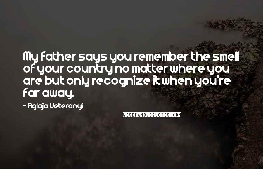 Aglaja Veteranyi Quotes: My father says you remember the smell of your country no matter where you are but only recognize it when you're far away.