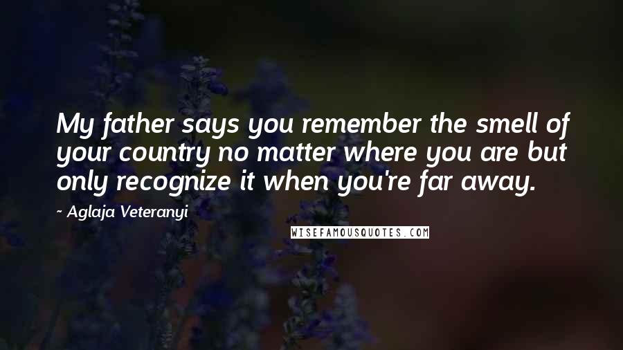 Aglaja Veteranyi Quotes: My father says you remember the smell of your country no matter where you are but only recognize it when you're far away.