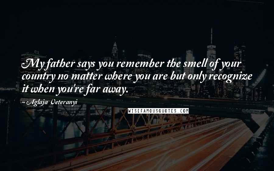 Aglaja Veteranyi Quotes: My father says you remember the smell of your country no matter where you are but only recognize it when you're far away.