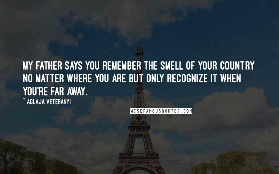 Aglaja Veteranyi Quotes: My father says you remember the smell of your country no matter where you are but only recognize it when you're far away.