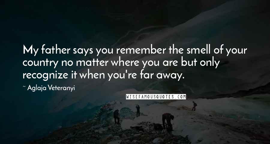 Aglaja Veteranyi Quotes: My father says you remember the smell of your country no matter where you are but only recognize it when you're far away.