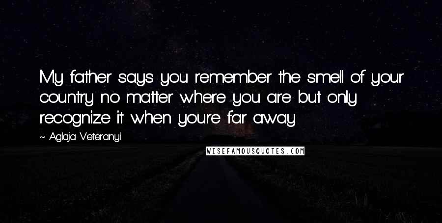Aglaja Veteranyi Quotes: My father says you remember the smell of your country no matter where you are but only recognize it when you're far away.
