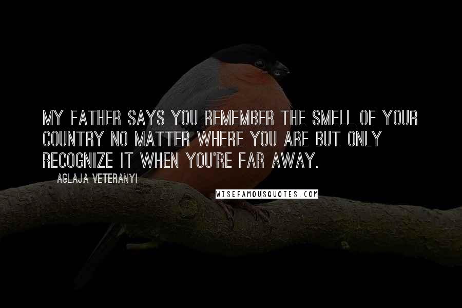 Aglaja Veteranyi Quotes: My father says you remember the smell of your country no matter where you are but only recognize it when you're far away.