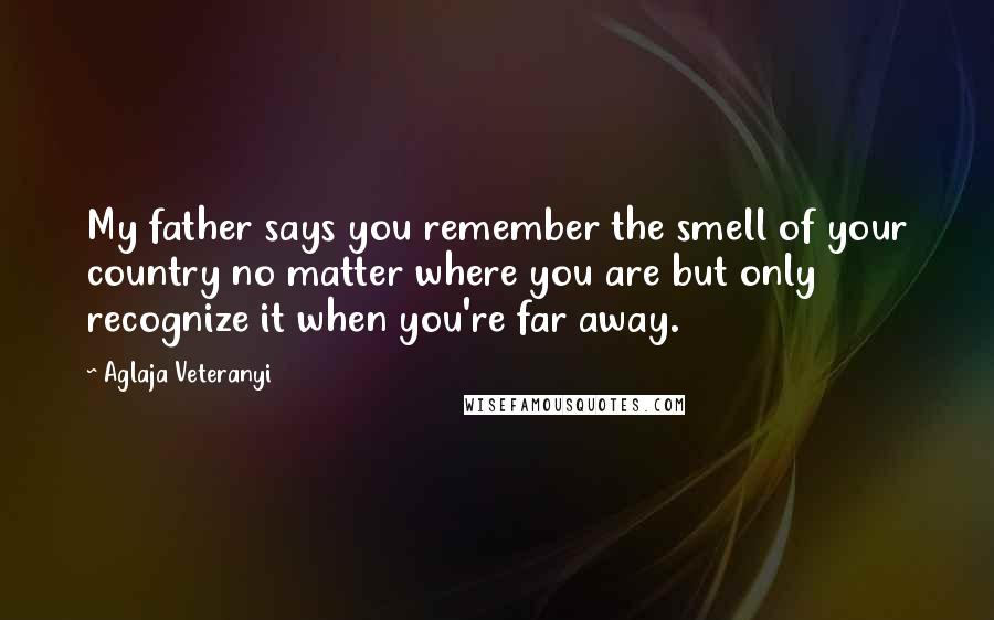 Aglaja Veteranyi Quotes: My father says you remember the smell of your country no matter where you are but only recognize it when you're far away.