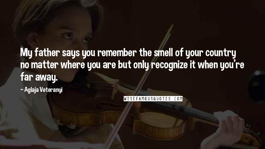 Aglaja Veteranyi Quotes: My father says you remember the smell of your country no matter where you are but only recognize it when you're far away.