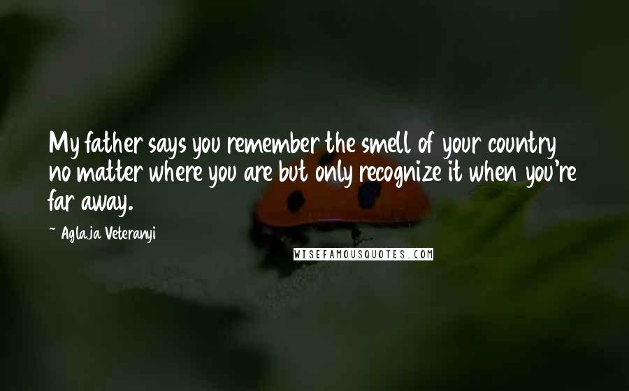 Aglaja Veteranyi Quotes: My father says you remember the smell of your country no matter where you are but only recognize it when you're far away.