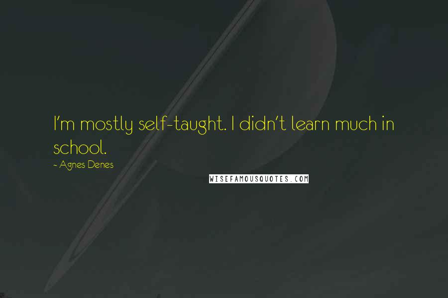 Agnes Denes Quotes: I'm mostly self-taught. I didn't learn much in school.