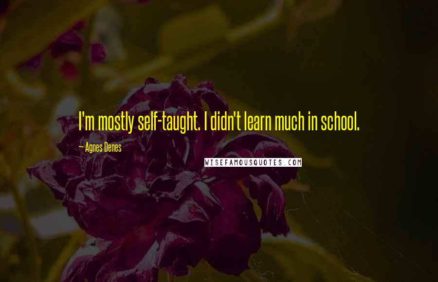 Agnes Denes Quotes: I'm mostly self-taught. I didn't learn much in school.