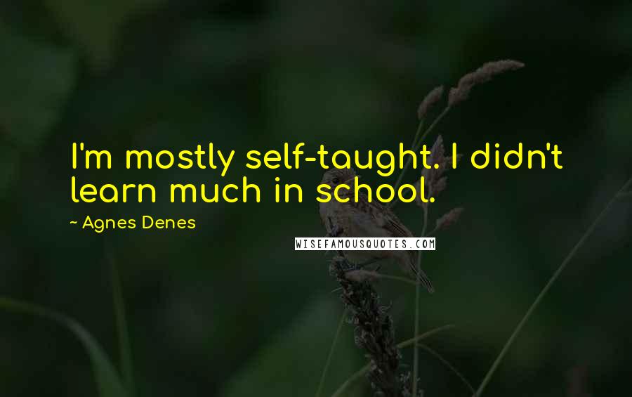 Agnes Denes Quotes: I'm mostly self-taught. I didn't learn much in school.