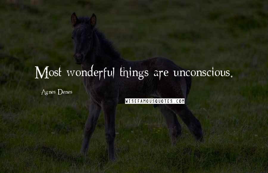 Agnes Denes Quotes: Most wonderful things are unconscious.