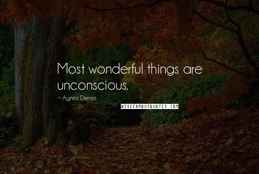 Agnes Denes Quotes: Most wonderful things are unconscious.