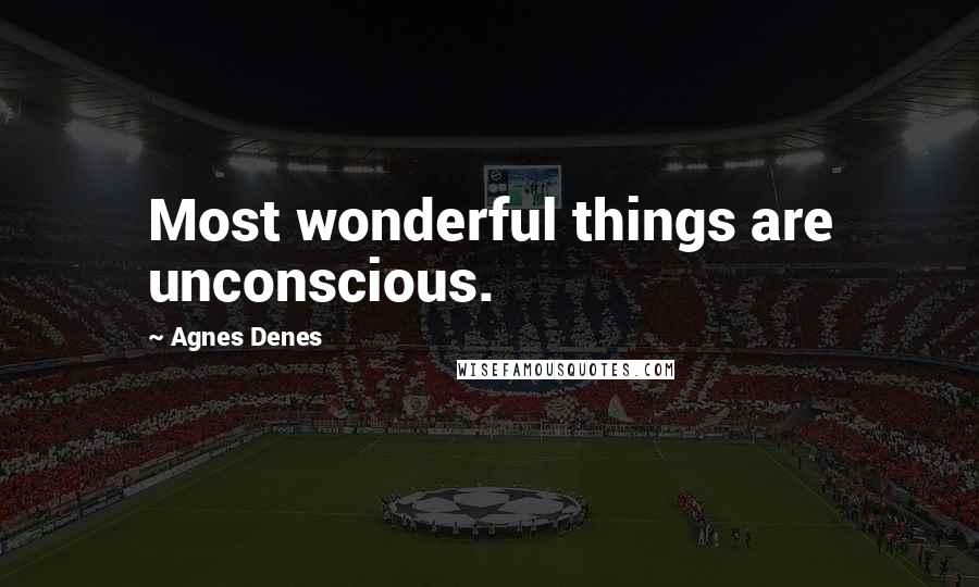 Agnes Denes Quotes: Most wonderful things are unconscious.