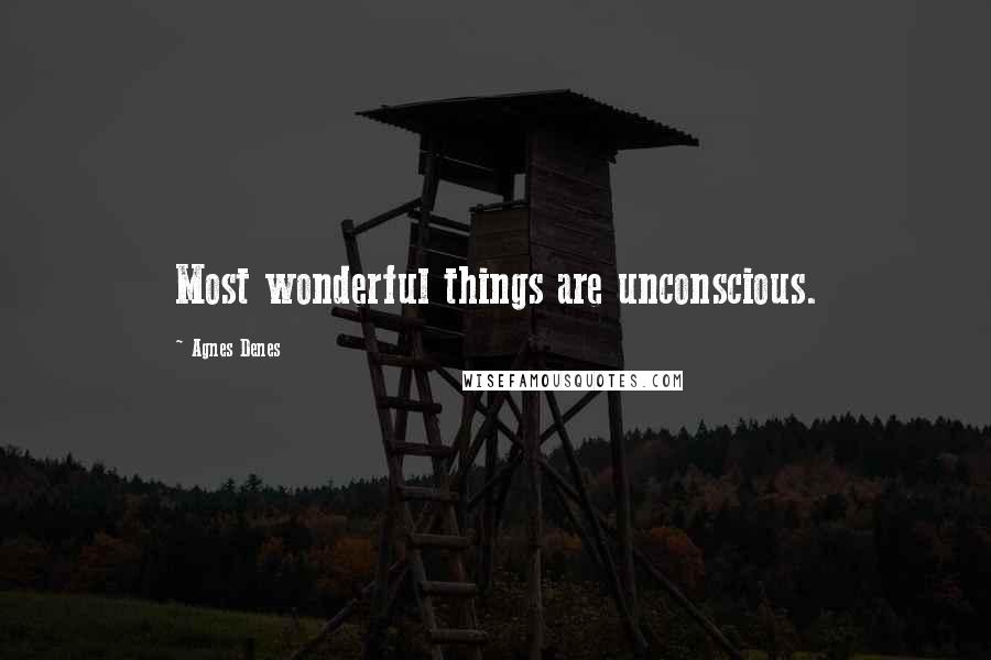 Agnes Denes Quotes: Most wonderful things are unconscious.