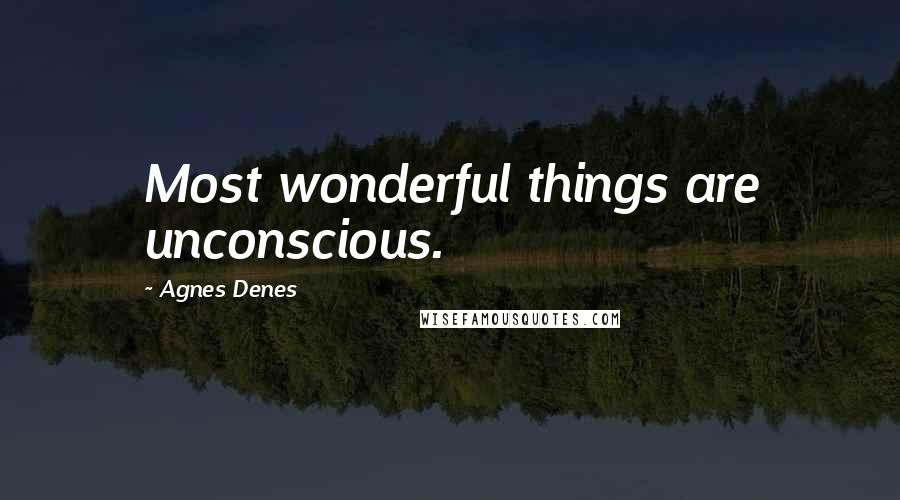 Agnes Denes Quotes: Most wonderful things are unconscious.