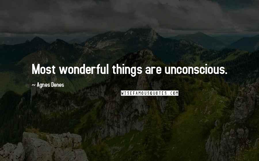 Agnes Denes Quotes: Most wonderful things are unconscious.